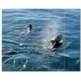 thumbnail image 1 of Dolphin Ceramic Tile Mural Kitchen Backsplash Bathroom Shower, 402820-XL54, 1 of 3