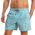thumbnail image 1 of RIPT Essentials Mens Stripe Swim Shorts, 1 of 4