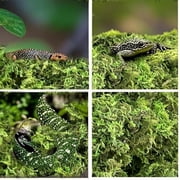 Sphagnum Moss for Terrarium, Substrate Green Dried Moss for Potted Plants Artificial Moss Decor