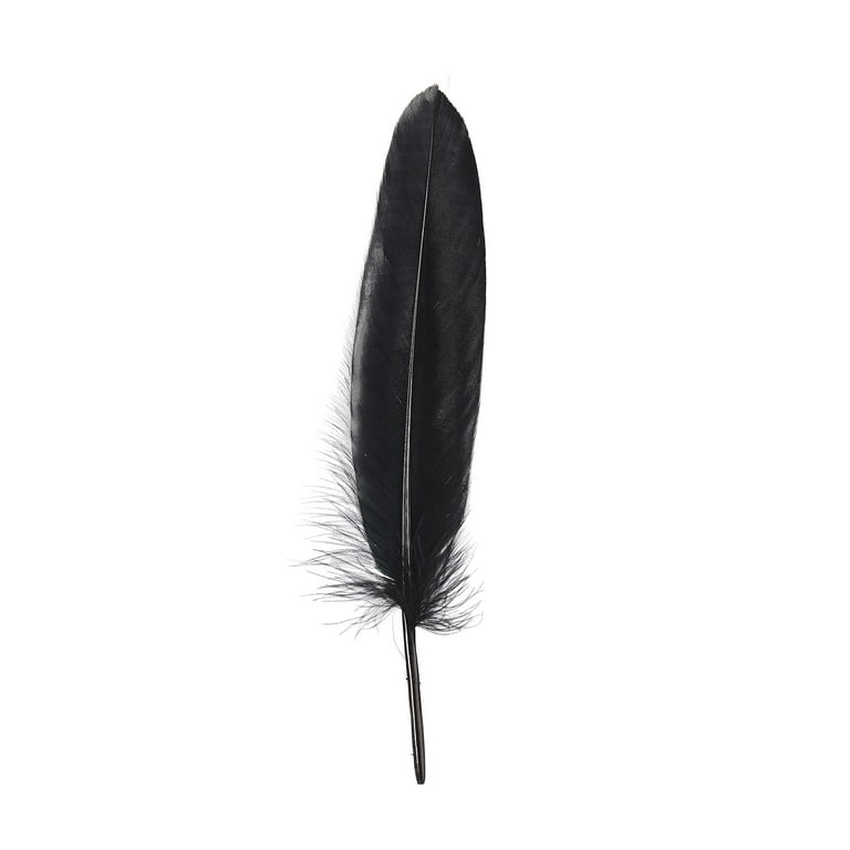 Doolland 50 Pcs Natural Black Ostrich Feathers 5.9-7.8 inch(15-20cm) Bulk for DIY Wedding Party Centerpieces, Easter, Gatsby Decorations Feather