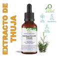 thumbnail image 1 of EXTRACTO DE THUJA 60 ML VIVONATURAL. 100% NATURAL. ORGÁNICO, 1 of 3