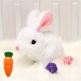 thumbnail image 1 of Easter Plush Stuffed Bunny Toy, 1 of 5