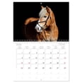 thumbnail image 6 of Haflinger (Monthly Wall Calendar 2026 16.5 x 23.4 (open)), CALVENDO 14 Month Calendar, 6 of 9