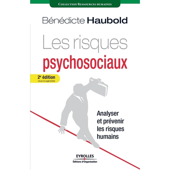 Les risques psychosociaux : Analyser et prévenir les risques humains (Paperback)