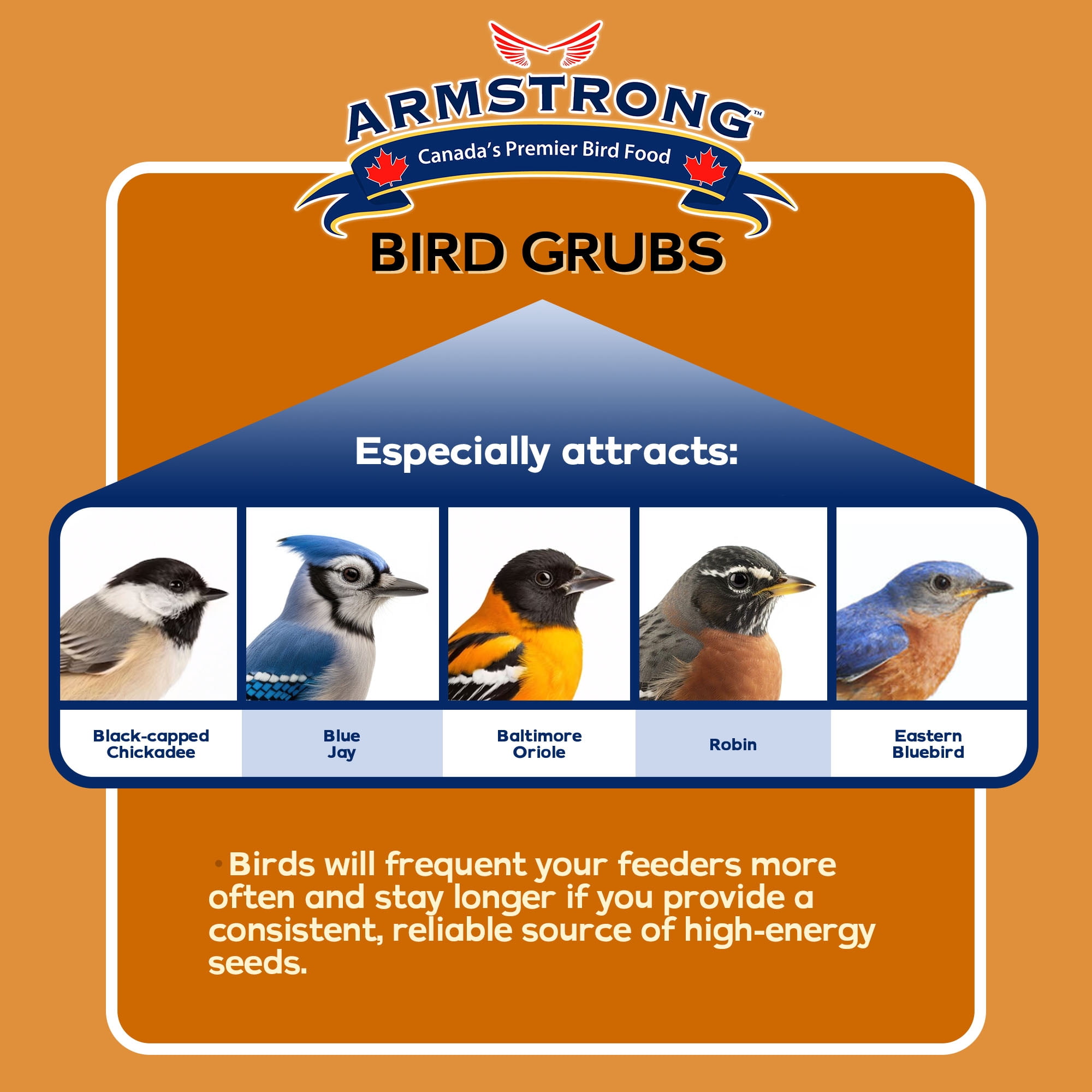 Armstrong Wild Bird Food Mealworm Alternative Bird Grubs, 1.1lbs