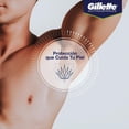 thumbnail image 3 of Gel Invisible Antitranspirante Gillette Hydra Gel Aloe 45 g, 3 of 5