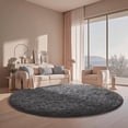 thumbnail image 2 of Shag Area Rugs for Living Room 7'(Round), Soft and Fluffy Shaggy Carpet for Pets, Machine Washable Floor Rugs for Living room, 2 of 9