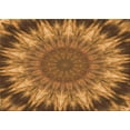thumbnail image 1 of Ahgly Company Indoor Rectangle Patterned Saddle Brown Area Rugs, 2' x 3', 1 of 6