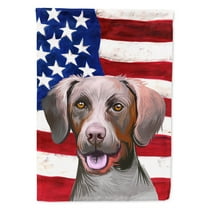 Carolines Treasures CK6649GF Pointer Dog American Garden Size Outdoor-Flags, Multicolor