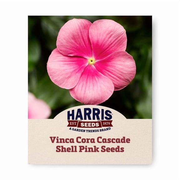 Harris Seeds - Vinca Cora Cascade Shell Pink F1 Seeds - 100 Seeds
