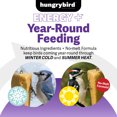 thumbnail image 2 of Hungrybird Energy+ High-Protein Suet Bar with Blended Berry Filling for Outside Wild Birds, 2 of 5