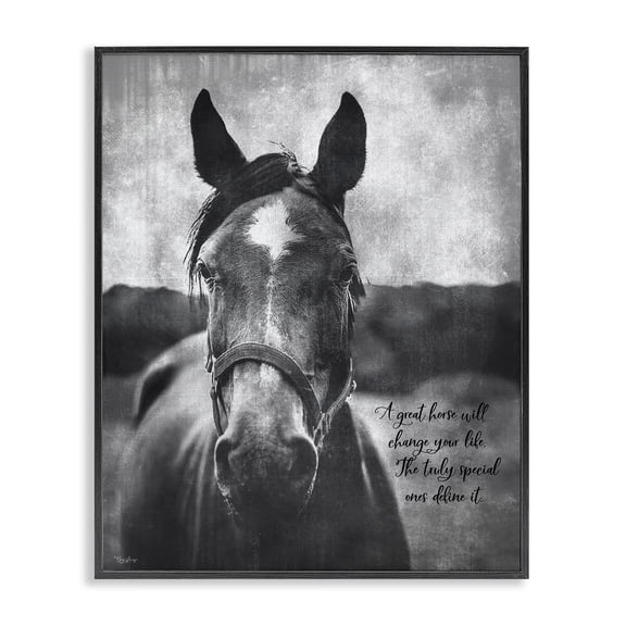 Stupell Industries Farmhouse A Great Horse Inspiring Black Framed Giclee Art, 11 x 14, by Gigi Louise