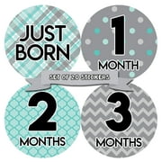 Baby Monthly Milestone Stickers - First Year Set of Baby Boy Month Stickers for Photo Keepsakes - Shower Gift - Set of 20