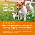 thumbnail image 6 of Zesty Paws Puppy Probiotic Bites Pumpkin Flavor Dog Supplement, 90 Count, 6 of 10