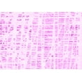 thumbnail image 1 of Ahgly Company Indoor Rectangle Solid Pink Modern Area Rugs, 2' x 4', 1 of 4