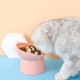 thumbnail image 4 of Tazón para gato Tazón para perro Tazón para gato elevado, Tazón anti vómitos para gato, Tazón antideslizante para comida y agua, para gato de cara plana Perro pequeño, 4 of 5