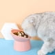 thumbnail image 4 of Cuenco para gatos, cuenco para perros, cuenco elevado para gatos, cuenco antivómitos para gatos, cuenco antideslizante para comida y agua, para gatos de cara plana, perros pequeños, 4 of 5