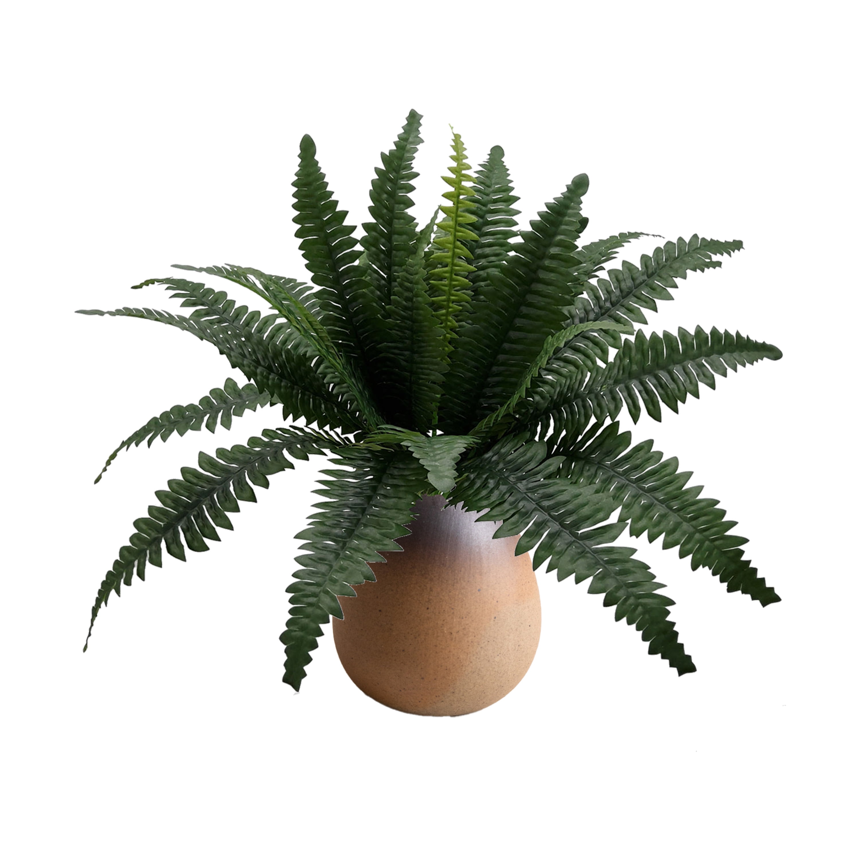 Mainstays 21in Indoor Artificial Plant, Fern Bush, Green Color. Indoor Use. Not in Pot.