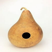 Birdhouse Gourd Seeds - 500 Count Seed Pack - Non-GMO - a Hard-shelled Gourd That is Often Dried and Used for a Variety of Purposes. - Country Creek Acres