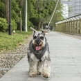 thumbnail image 4 of Chaleco de pecho con tracción en la espalda para mascotas, collar ajustable y cinturón para caminar de forma segura, juego de arnés y correa para perros XS, 4 of 8