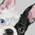 thumbnail image 3 of Wayfare Art Canvas Prints Poster, Animal 8 x 10 inch Wall Decor Canvas Artwork, Animal Boston Terrier Eyepatch Dog, 3 of 7