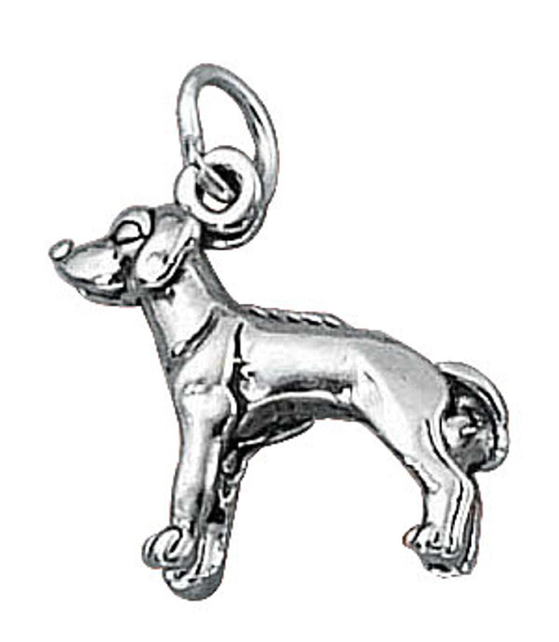 Sterling Silver Womens 1mm Box Chain 3D Rhodesian Ridgeback Dog Breed Pendant Necklace