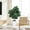 5FT, variant on Ataujin Artificial Trees, Artificial Fiddle Leaf Fig Plant Indoor, Faux Fig Tree with White Planter Tall Fake Floor Plant in Pot with Natural Wood Trunk for Home Office Living Room