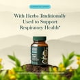 thumbnail image 4 of Gaia Herbs Mighty Lungs - Lung Support Supplement with Herbs Traditionally Used to Help Maintain Respiratory Health* - 60 Vegan Liquid Phyto-Caps (60 Servings), 4 of 10