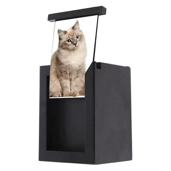 Pet Memorial Keepsake Urns with Photo Frame Cremation Urn Box for Dog for Cat