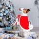 thumbnail image 4 of Disfraz navideño para mascotas: poncho con capa y gorro de Papá Noel para gatos y perros pequeños, color rojo, 1 unidad (talla S)., 4 of 5