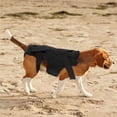 thumbnail image 4 of Dog Back Vest Aid Healing and Promote Comfort Adjustable Straps Supporting Vest Flexible and Lightweight, 4 of 9