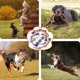thumbnail image 3 of Juego de cuerdas para perros Aitmexcn Heavy Duty, paquete de 8, para personas grandes y medianas, 3 of 6