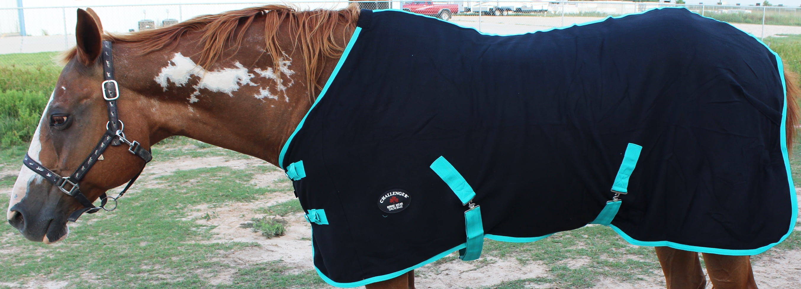 Horse Exercise Sheet Polar FLEECE COOLER Blanket Wicks Moisture