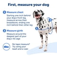 thumbnail image 4 of Arnés para perros PetSafe Easy Walk No-Pull, tamaño medio/grande, negro y plateado, 4 of 6