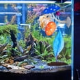 thumbnail image 4 of unbranded 2Ud Accesorios Para Acuario Hoja Y Camastro De Silicona Para Descanso De Betta, 4 of 7
