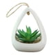 thumbnail image 1 of Escritorio de decoración del hogar decoración de la sala de ducha simulación mini plantas suculentas en maceta Ormromra CPB-YL652-1, 1 of 5
