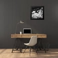 thumbnail image 4 of Hausenflock, Alan 20x20 Black Modern Framed Museum Art Print Titled - Garrapata 7 BW Square, 4 of 5