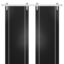 Sturdy Double Barn Door 60 x 96 inches with | Planum 0410 Matte Black with Frosted Glass | Stainless Steel 13FT Rail Hangers Heavy Set | Solid Panel Interior Doors