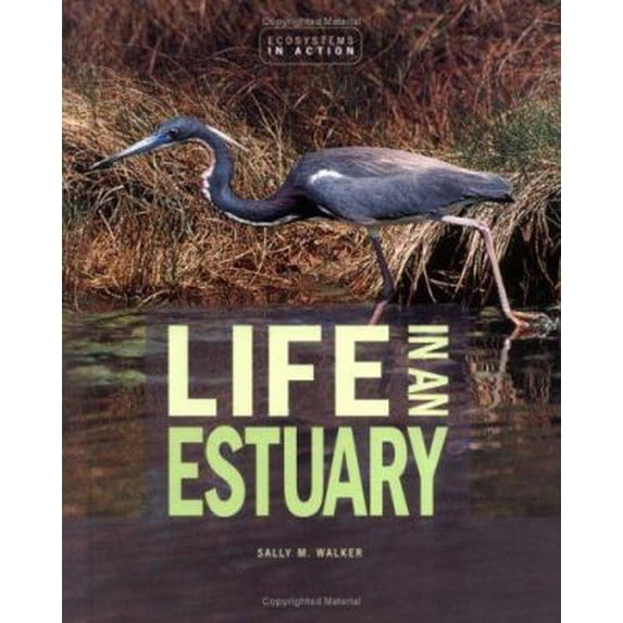 Pre-Owned Life in an Estuary: The Chesapeake Bay (Ecoystems in Action) (Unknown) 0822521377 9780822521372