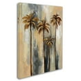 thumbnail image 2 of Trademark Fine Art 'Palm Trees II' Canvas Art by Silvia Vassileva, 2 of 3