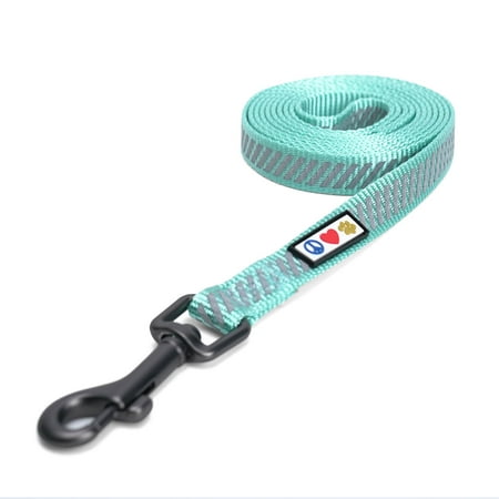 UPC: 0735255518672 | Pawtitas 6 FT Dog Leash Reflective Dog Leash Dog Training Leash Puppy Leash Teal Dog Leash