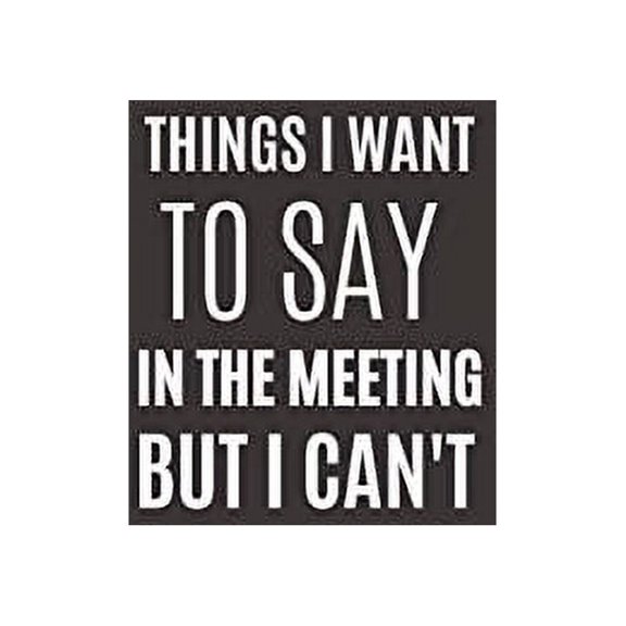 Pre-Owned Things I Want To Say In The Meeting But I Can't: Funny Novelty Office Gag Christmas Gifts | Lined Paperback Notebook | Matte Finish Cover | White Paper (Funny Office Journal Gift) Paperback