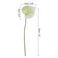 thumbnail image 2 of Uxcell 13" Artificial Anthurium Lily Flowers Floral Arrangements Bouquet Decor, Light Green 5 Pack, 2 of 5
