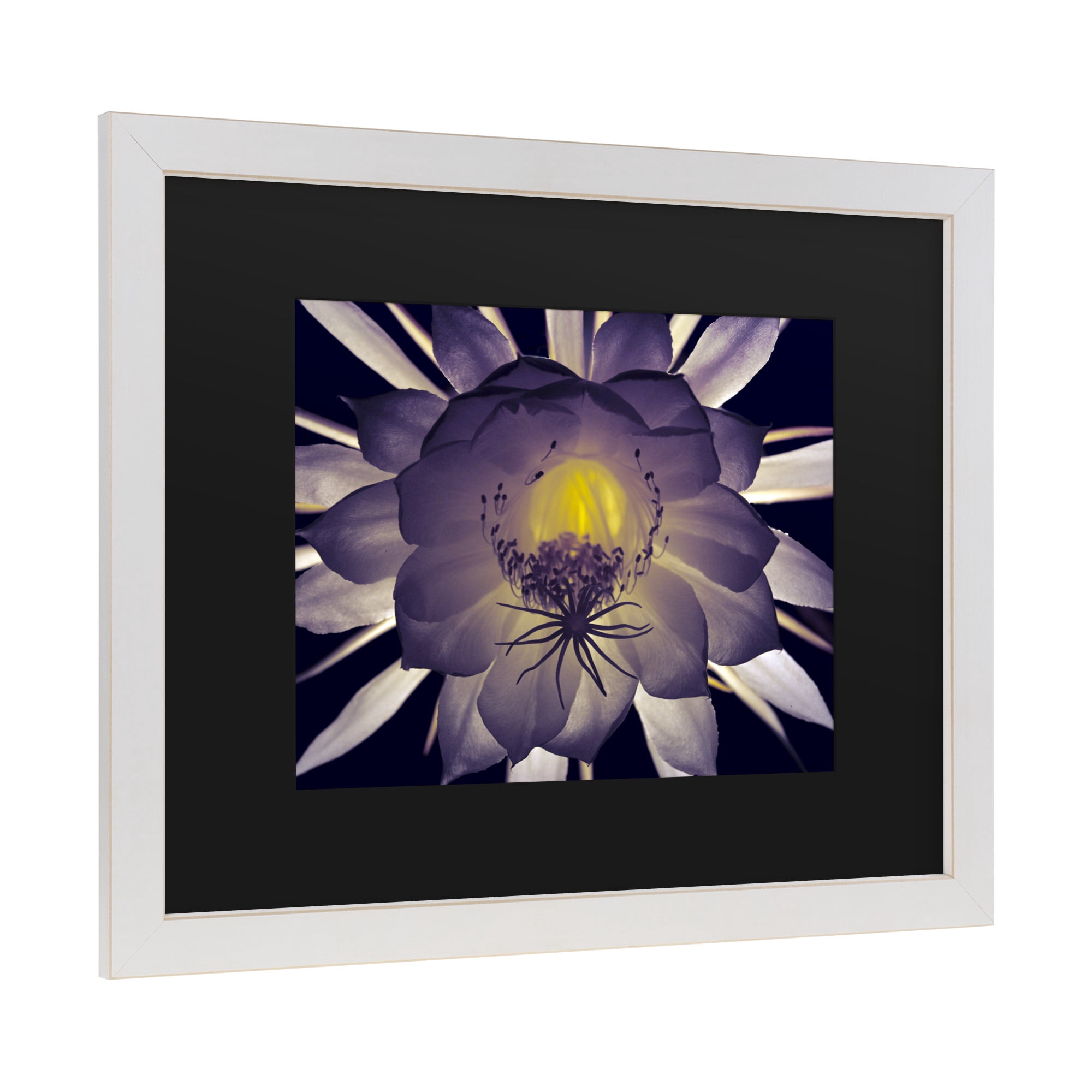 Trademark Fine Art 'Night Angel' Canvas Art by Kurt Shaffer