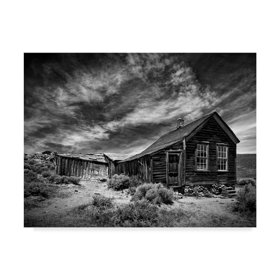 Trademark Fine Art 'Black And White Desert View III' Canvas Art by David Drost