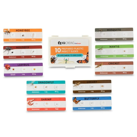 Colorful Set of 10 Plastic Prepared Microscope Slides with 30 Unique Insect Specimens price history on PriceWatchPro