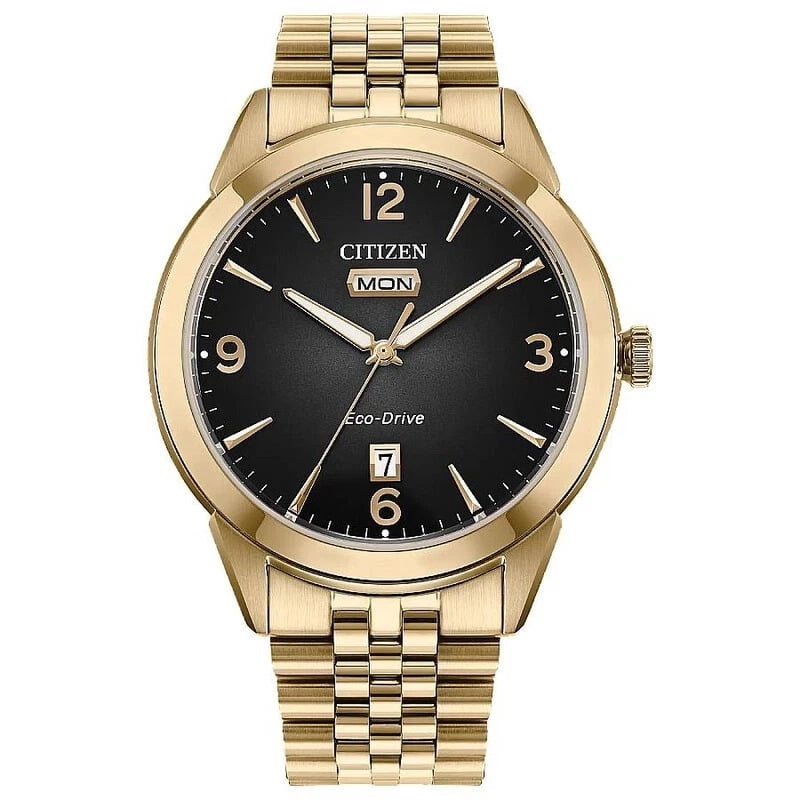Citizen Tsuki-yomi A-T Eco-Drive Perpetual World Time Men's Watch