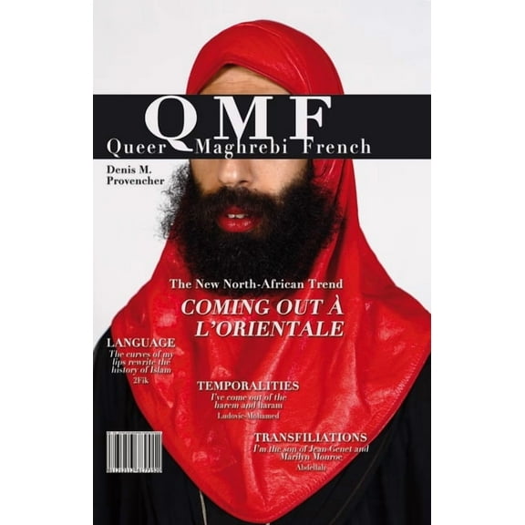 Contemporary French and Francophone Cult Queer Maghrebi French: Language, Temporalities, Transfiliations, Book 44, (Paperback)
