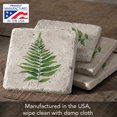 thumbnail image 2 of CounterArt "Fern Study" 4 Pack Natural Travertine Absorbent Stone Coasters, 2 of 7