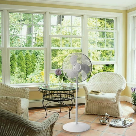 Lasko - 16" Floor Fan - Gray/white